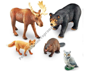 LER0787 ������� ����� "�������� ����" (5 ���������)