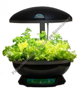 ������� ��������� ��� (����������� ���������) ������ � ������������ ���������