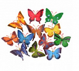 1Toy ����� ����� �������� ������� 12�� � ������