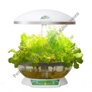 ������� ��������� ��� (����������� ���������) ����� � ���������� ���������