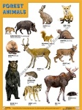  FOREST ANIMALS (������ ���������), ������ 45�60