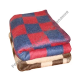 ������ �/�