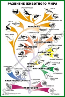 ������� ��������� ��������� ���� ��� ���������� �������� ��������