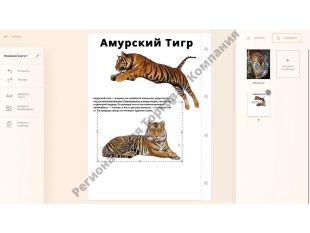 ������������� ������������ ����� "�������� ������" - ����������� � ������-�������������� ����������