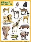   ANIMALS OF AFRICA (�������� ������), ������ 45�60