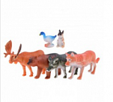 ����� �� 6-� ������ ��������, � ������