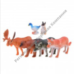 ����� �� 6-� ������ ��������, � ������