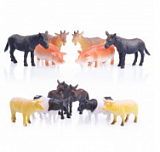 ����� �� 12 �������� ��������, 9-11 ��, � ������