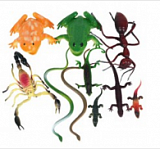 ����� ��������� � �������� � ������ (10��.) 10-15��