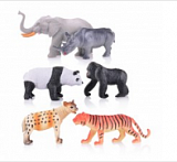 ����� �� 6-� �������� ���� � ������������