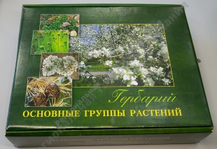 �������� ��������� ������ ��������