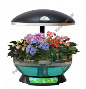 ������� ��������� ��� (����������� ���������) ������ � ���������� ���������