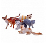 ����� ����� � ������ (6��.)